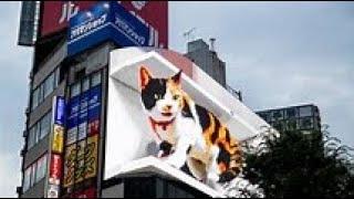 Giant 3D CAT Amazing  Billboard Show! Shinjuku Tokyo