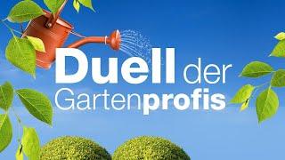 Duell der Gartenprofis - ZDF - Team DAVIT vs Team RENE