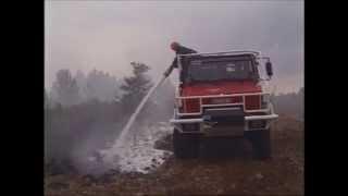 BIO FOR on forest fire - BIOex