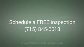 Wausau Pest Control by Prompt Action (715) 845-6018