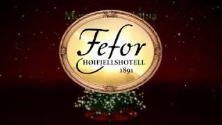 Fefor Høifjellshotell