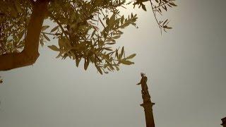 San Rocco 2014 - La Vestizione