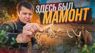 ОХОТА за МАМОНТАМИ под водой | Экспедиция по следам древних млекопитающих