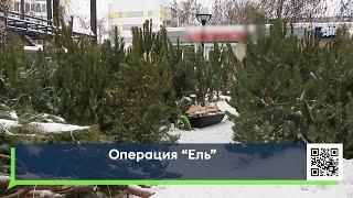 Операция «Ель»