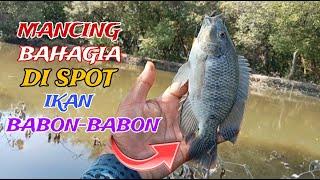 MANCING BAHAGIA.. Ternyata di Spot ini Masih Banyak Ikan Babon-Babon Nya