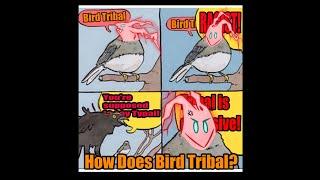 How Does Bird Tribal (Mtg Commander Deck Tech)