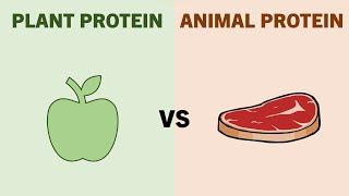 How Effective Are Vegan Diets for Muscle Growth?