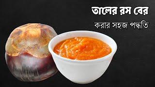 অল্প সময়ে তালের রস বের করার সহজ পদ্ধতি এবং সংরক্ষণ | Tal Pitha Rosh | Taler Rosh | Palm Pulp | Puree