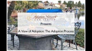 A View of Adoption - Adoption Process