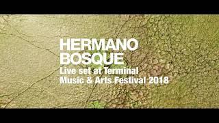 Hermano Bosque - Live Set Terminal Music & Arts Festival