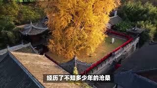 湖北荆州著名古寺：作为省级重点文物保护单位