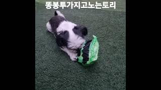 놀다가엄마가없어진걸안토리.
