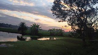 A Trip To Beautiful Nacture Place | দার্জিলিং | Vlog2021 | Traveller Avijit