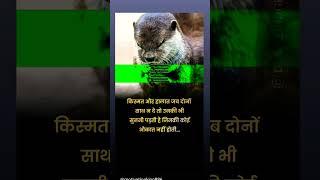 True lines #shorts #video #viral #status #motivation #sad #best #blogger #Rahul Allmix 11