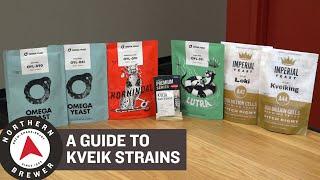 A Homebrewer's Guide to Kveik Yeast Strains & Blends