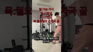 무분할 프로그램 장점