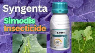 Syngenta Simodis New Insecticide 2024   Syngenta Simodis Insecticide Dosage Popular Video