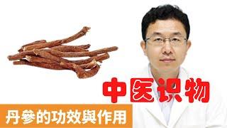 丹參的功效與作用【保健養生】生生不息┃改善心腦血管┃延緩衰老┃活血化瘀┃防治動脈硬化┃