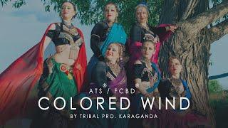 Colored wind /by Maria Tyuryuchsheva & Daria Shipacheva /TribalPRO. Karaganda /ATS®FCBD® with veils