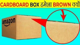 CardBoard Box हमेशा Brown ही क्यों होता है? | Why Cardboard Box Are Always Brown? | Facts |FE Ep#168