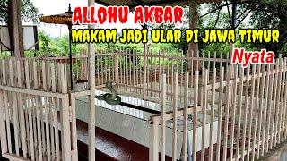 Subhanallah.! Makam Jasadnya Jadi Ular Hebohkan Warga Jombang Jawa Timur