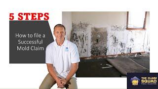 How to file a Successful Mold Claim