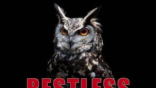 RESTLESS - DA UNSIGNED ARTIST X FOX X SH4RKS