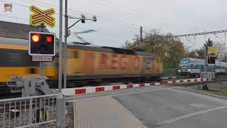 Železniční přejezd Úvaly [P4933] - 4.11.2024 / Czech railroad crossing