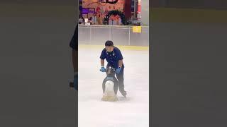 Keiichi first time main ice skating ️ @oasiscentrearena @aeonjgc