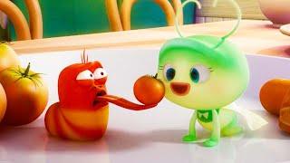 RED'S LOVE  | LARVA | Cartoons for Kids | WildBrain Blast