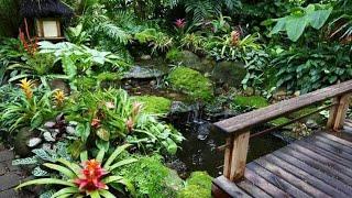 Ten of Australia's Best Tropical Gardens