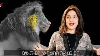 סרטון תוכן קידום מכירות - לשרה מאיר. 1 מתוך סידרת סרטונים