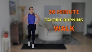 30 MIN CALORIE BURNING WALK (NO JUMPING) WALKING AT HOME