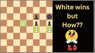 CRITICAL Chess Endgame Lesson (For beginners and intermediate)