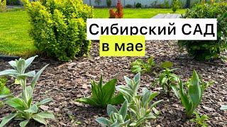 Прогулка по моему саду! Как подросли малыши 