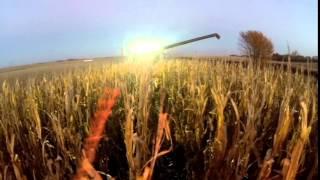Niewohner Farms Harvest 2014