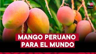 Mango peruano para el mundo | "Mercado peruano", 17 de diciembre del 2024