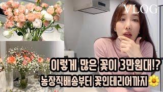 VLOG | #07 꽃으로 인테리어분위기 살리는 꿀팁! 꽃농장직배송부터 꾸미는법까지