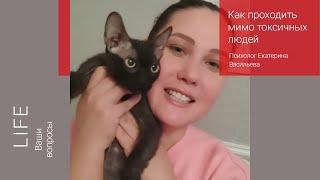 LifeКак проходить мимо токсичных людейПсихолог Екатерина Васильева в прямом эфире!