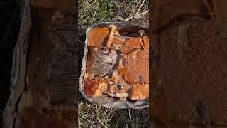 Нашел в овраге вот такие штуки. Там их походу много.