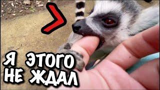 VLOG: СО МНОЙ ИНАЧЕ НЕ БЫВАЕТ