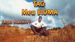 CERRADO: MÊS DOS BIOMAS GRUPO BUSHCRAFT E CAFÉ