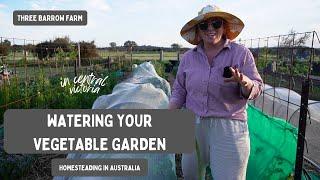 Watering Your Vegetable Garden: Homesteading in Victoria, Australia