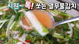 쉽고 간단해서 누구나 100% 성공하는 열무물김치. 열무랑 얼갈이만 사오세요