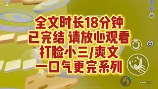 【完結文】打臉小三，聽聞市面上出現了小三培訓班。不僅有講師，還有成功上位的小三前輩蒞臨指導 #一口氣看完#爽文#小說#小說推文