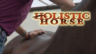 Holistic Horse Trailer