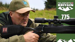 Fieldsports Britain – the magic of sika