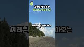 희한하게 '길운'만 들어오는 행운의 띠!  #띠별운세 #풍수 #사주팔자