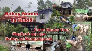 Bukid House Farm House Tour at Magbawas ng Inahin sa Freerange Pig Area at Tara sa Mga Alaga