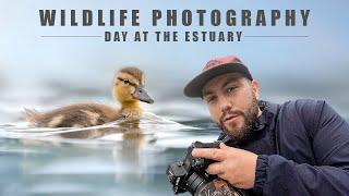 EPIC Morning of Wildlife Photography - Broadmeadow Estuary